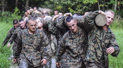 What Are The Requirements For Marine Officer Candidate School In 2025